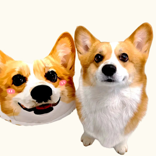 Dear fur baby Custom pet pillows