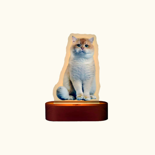 Dear fur baby Pet customization, night light ambient light, bedside lamp desktop decoration