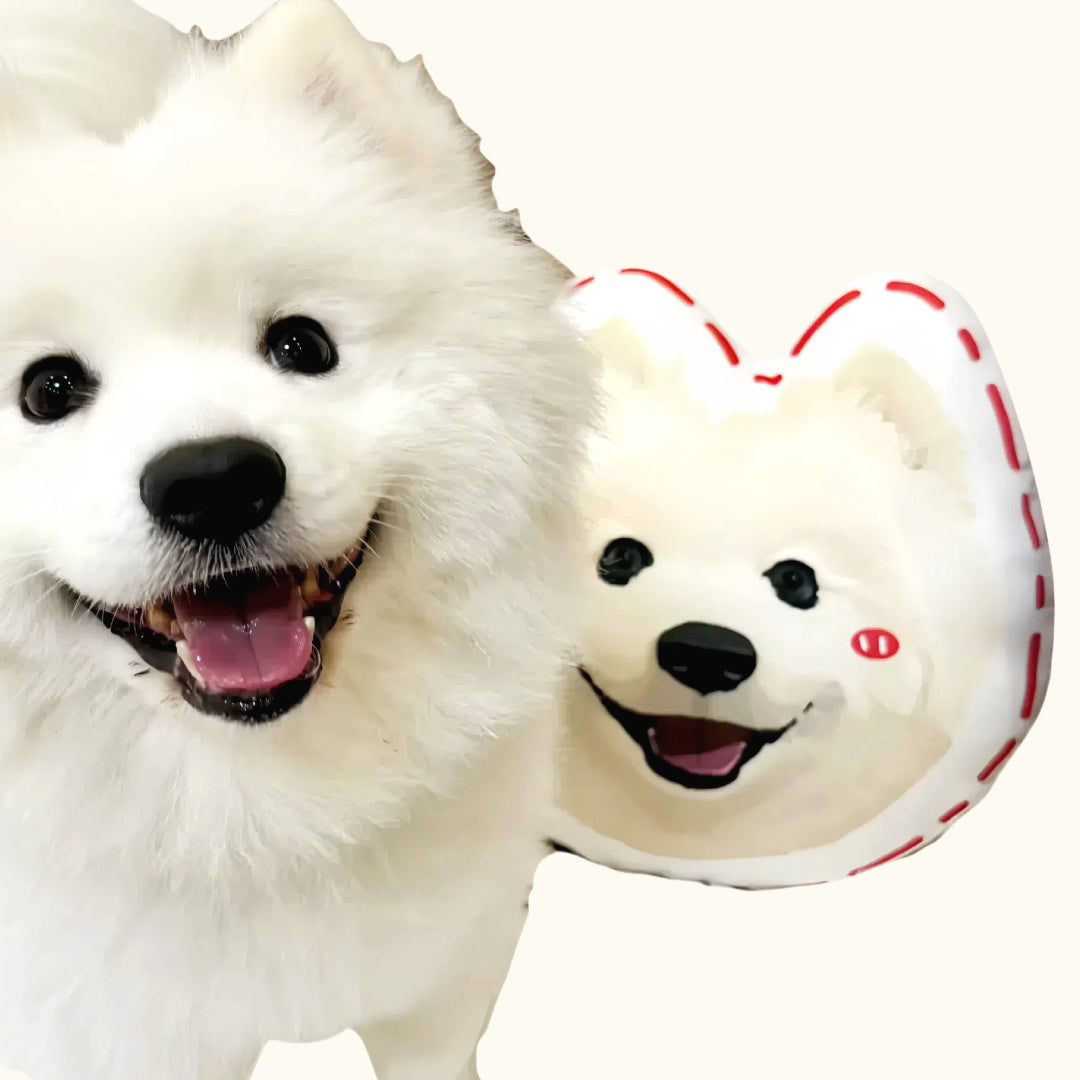 Dear fur baby Custom pet pillows