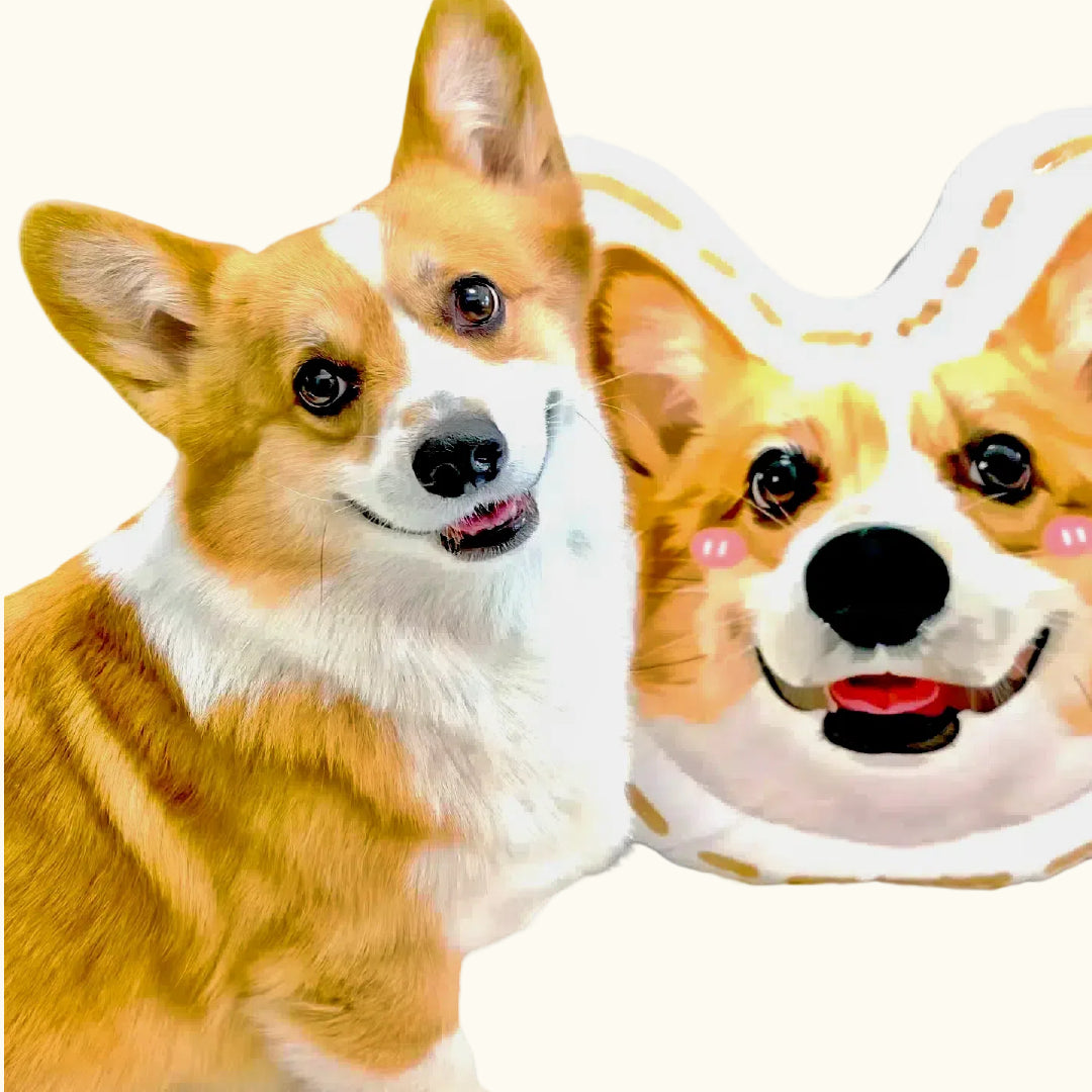 Dear fur baby Custom pet pillows