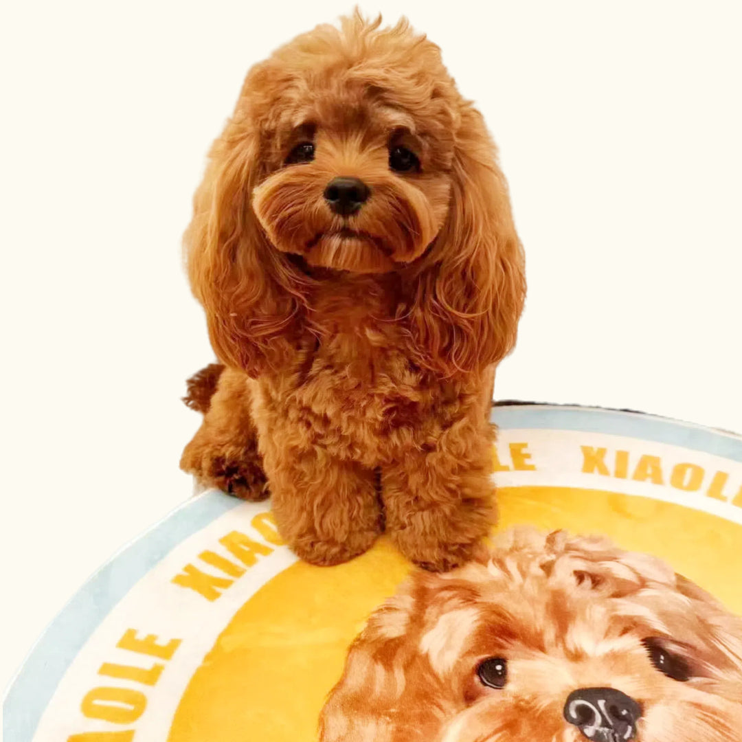 Dear fur baby Round pet custom carpets