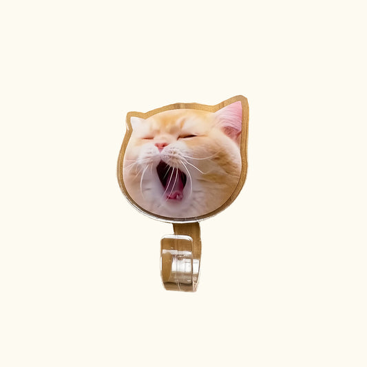 Dear fur baby Customized acrylic pet traceless hooks